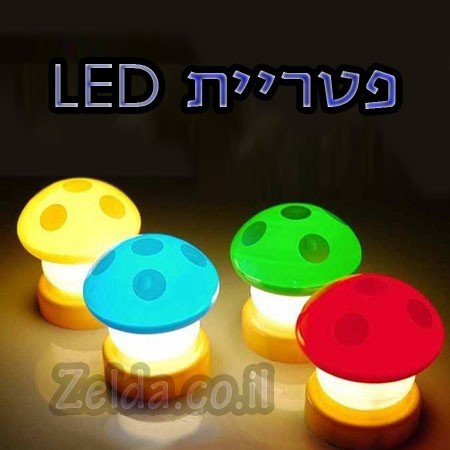 פטריה זוהרת